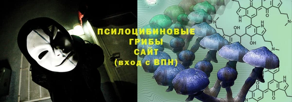 винт Баксан