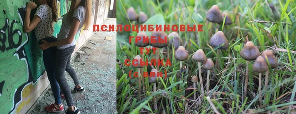 винт Баксан