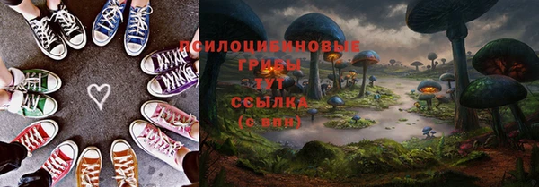 винт Баксан