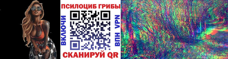 магазин  наркотиков  Куса  Псилоцибиновые грибы прущие грибы 